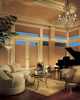power rise platinum tech music room window shades architecture