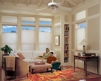 hunter douglass living room window shades